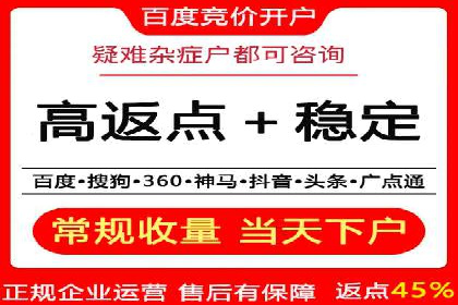 行业领先企业的sem竞价策略：成功案例剖析